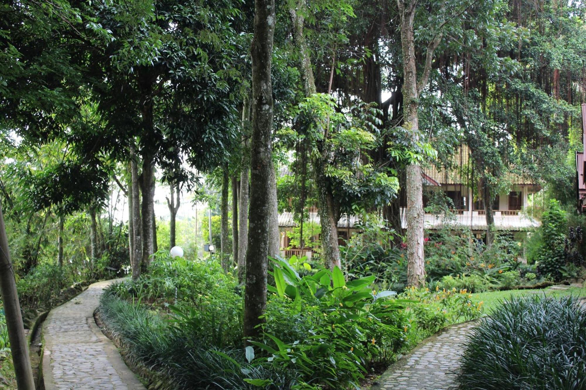Ecolodge Bukit Lawang - Hotel&Jungletrek Oda fotoğraf