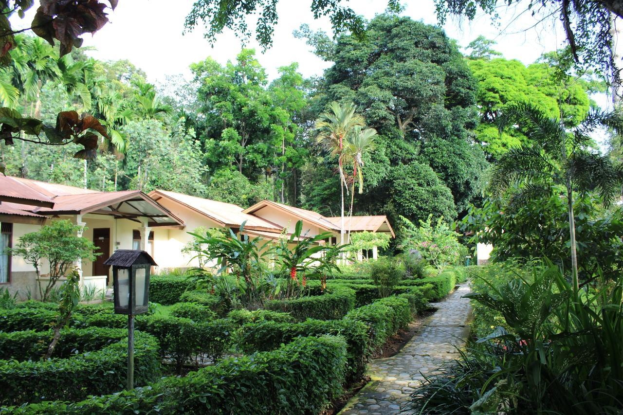 Ecolodge Bukit Lawang - Hotel&Jungletrek Dış mekan fotoğraf