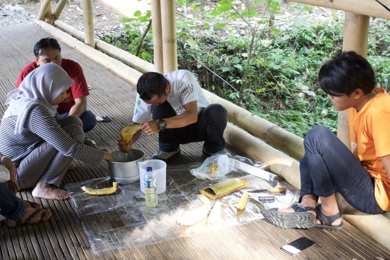 Ecolodge Bukit Lawang - Hotel&Jungletrek Dış mekan fotoğraf